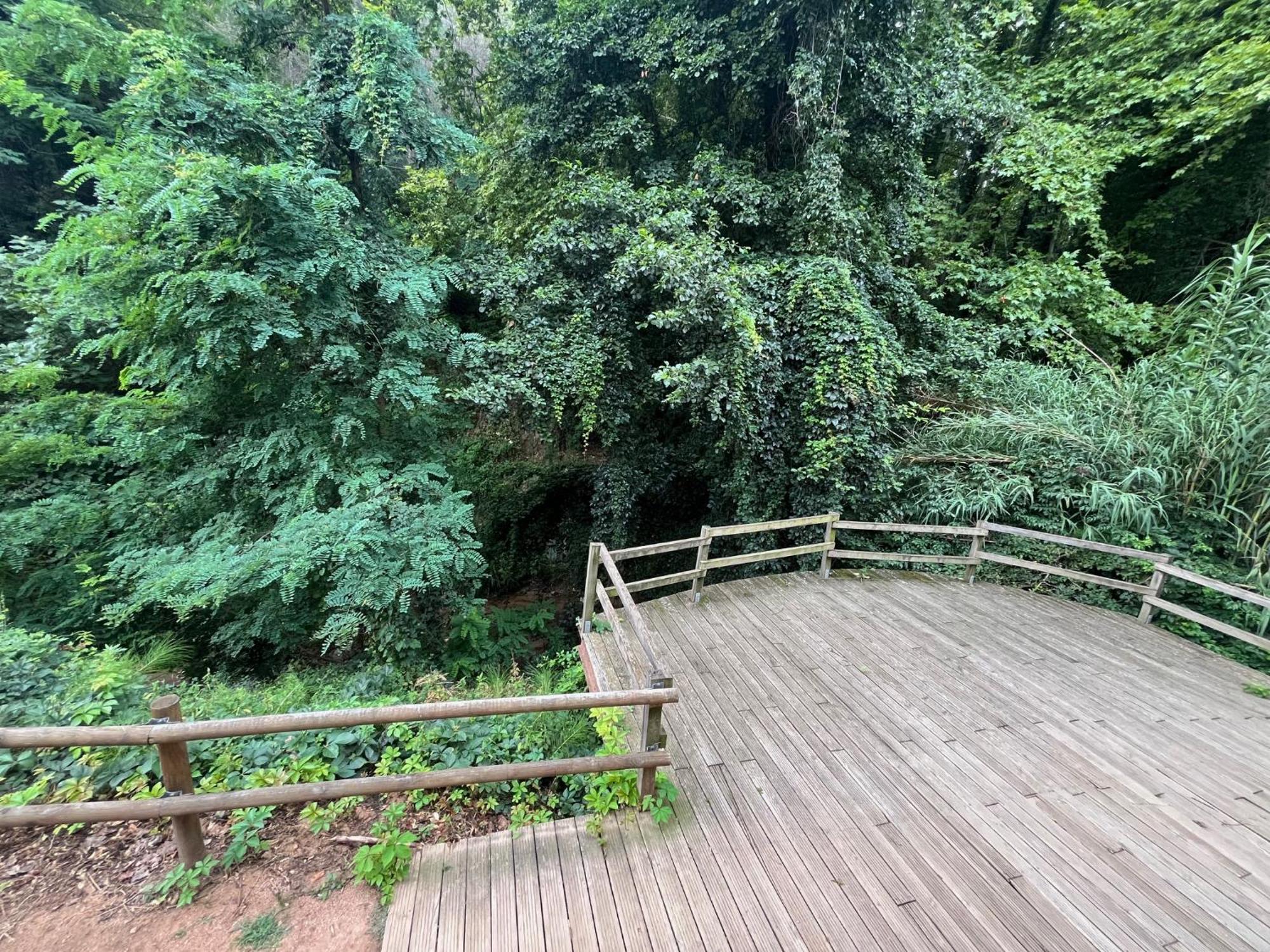 Apartamento El Mirador De La Farga Arbúcies Kültér fotó