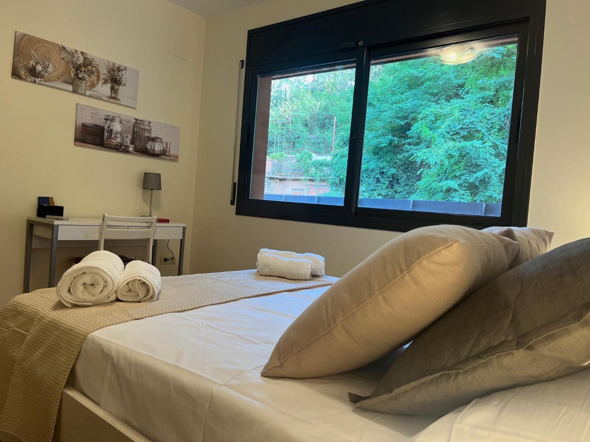 Apartamento El Mirador De La Farga Arbúcies Kültér fotó